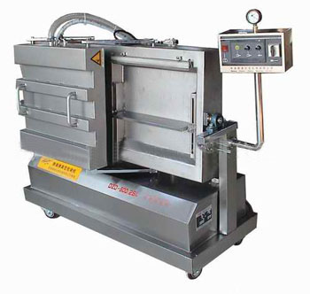 DZQ-650L单室真空机